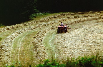 bail rural terre agricole