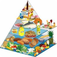 pyramide alimentaire