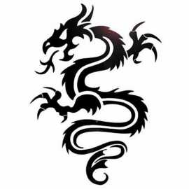 tatouage dragon