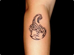 tatouage scorpion