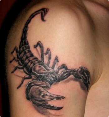 Scorpion Tattoos on Mod  Le Dessin De Tatouage Scorpion